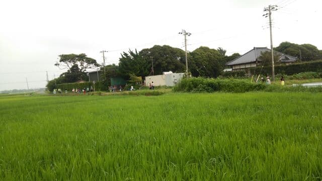 環境保全会　子供会と自然観察会