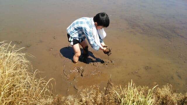 田植え