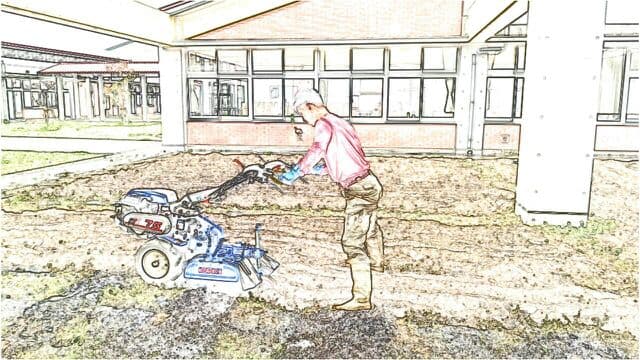 小学校で耕運