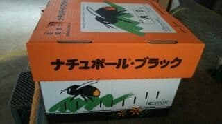 トマトとマルハナバチ