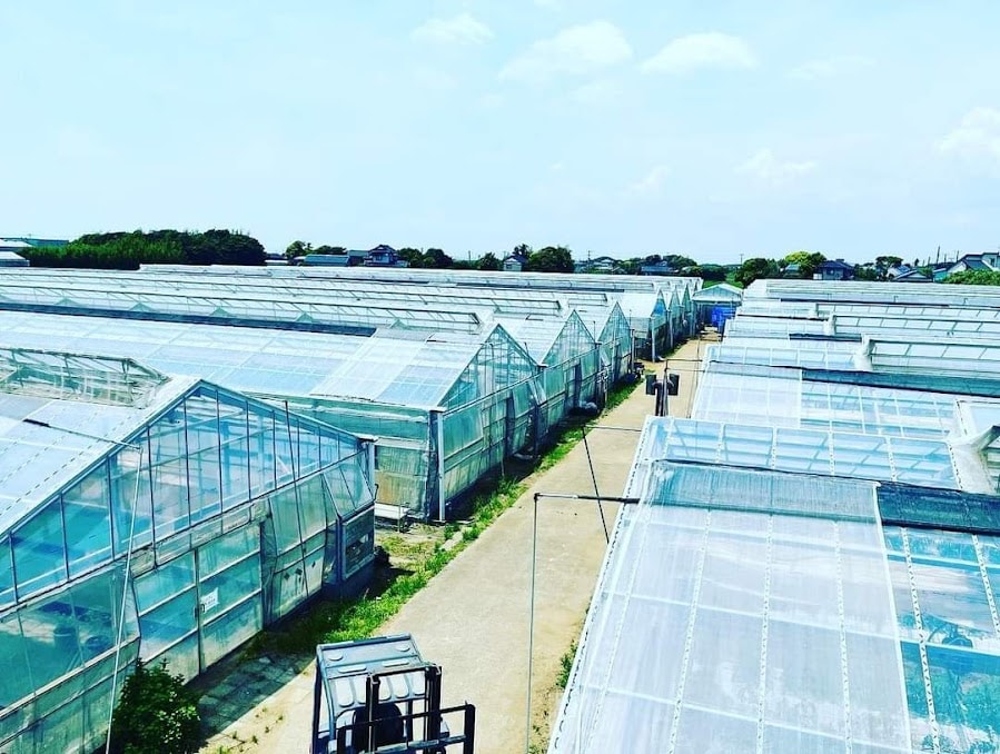 旭市の広大な農地と組織的な管理体制