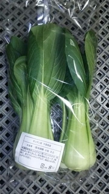 チンゲン菜出荷