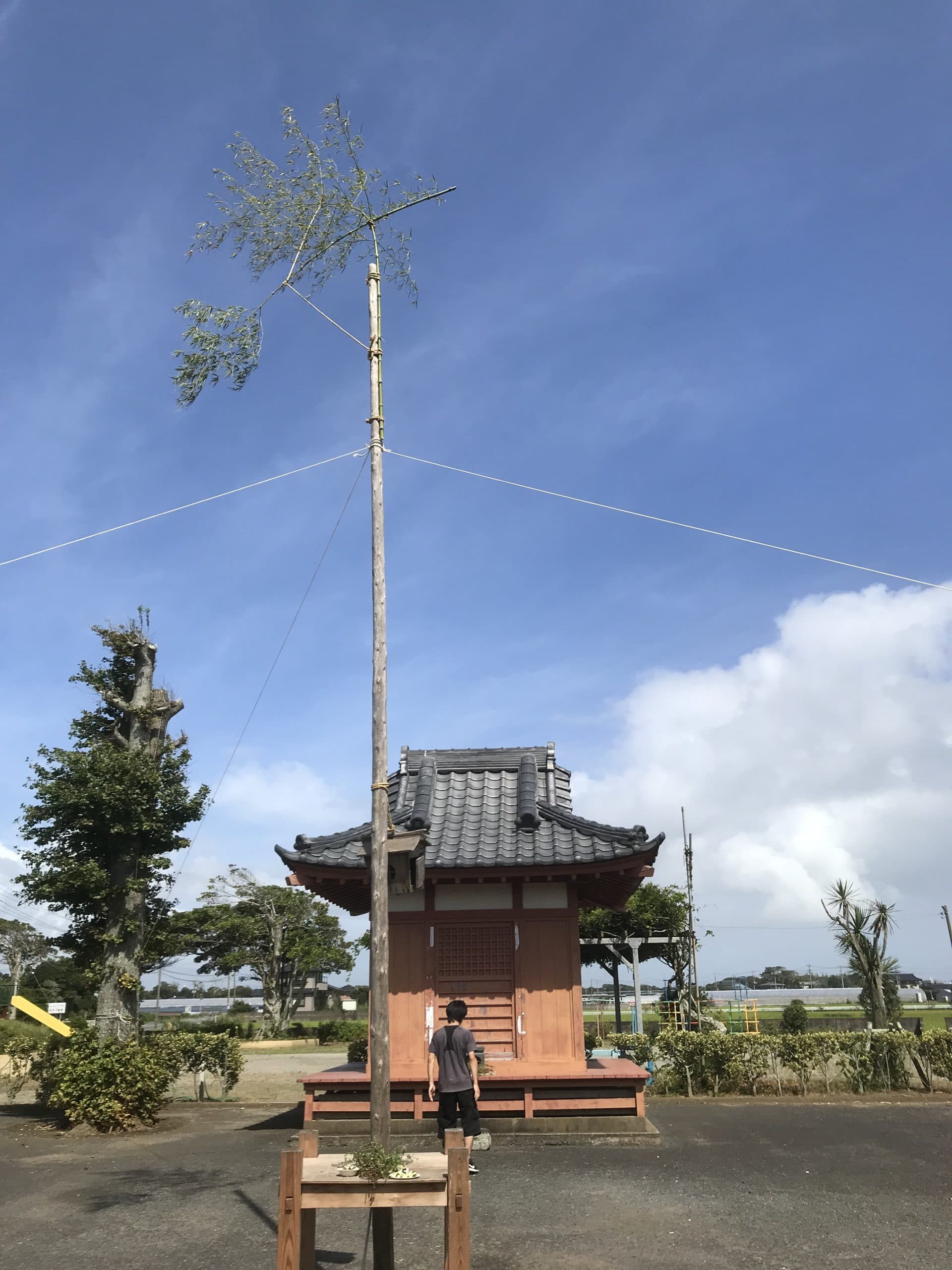 トマト状況